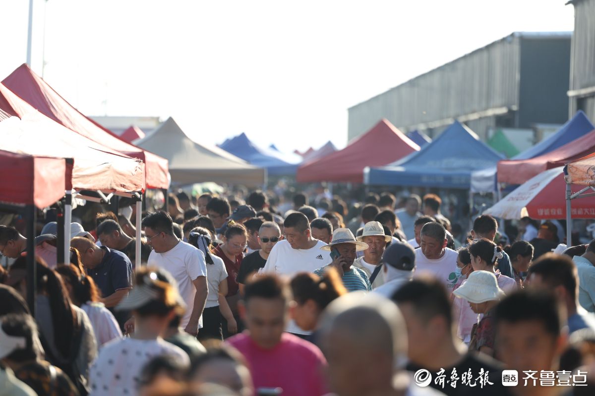 图集｜“金秋第一网”上岸！直击烟台开海首日抢“鲜”瞬间