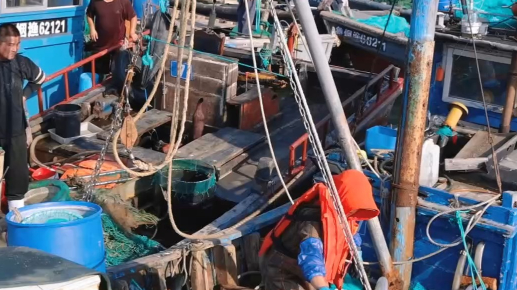 果然视频｜烟台开海，“金秋第一网”上岸，螃蟹、爬虾等价格来了