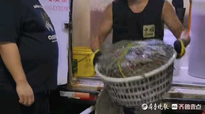 果然视频｜开海后，济南虾蟹鱼海鲜价格较往年有所下降