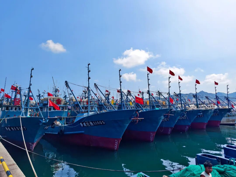 开海啦！威海人，海鲜开炫吧！