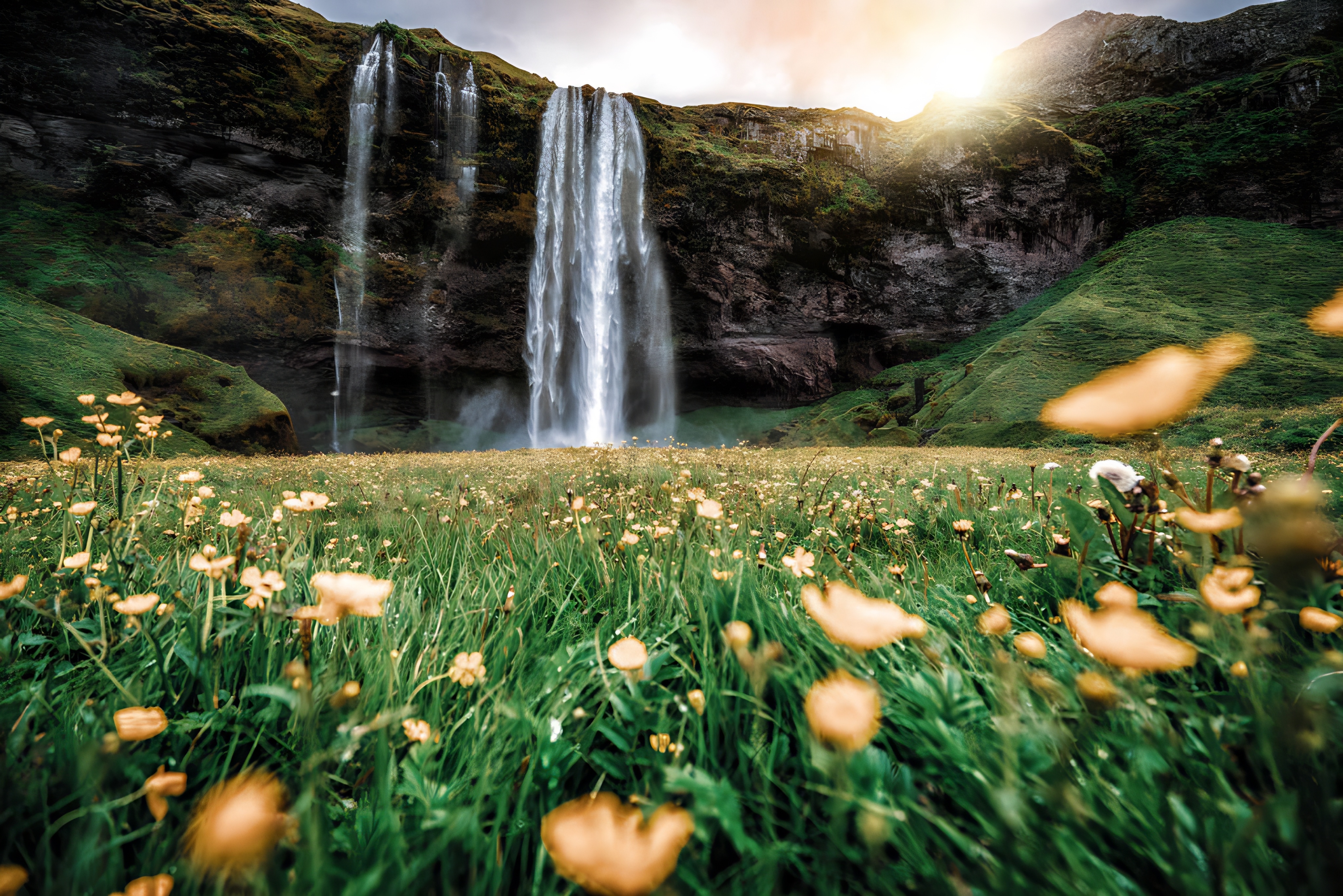 写作|母亲的眼神