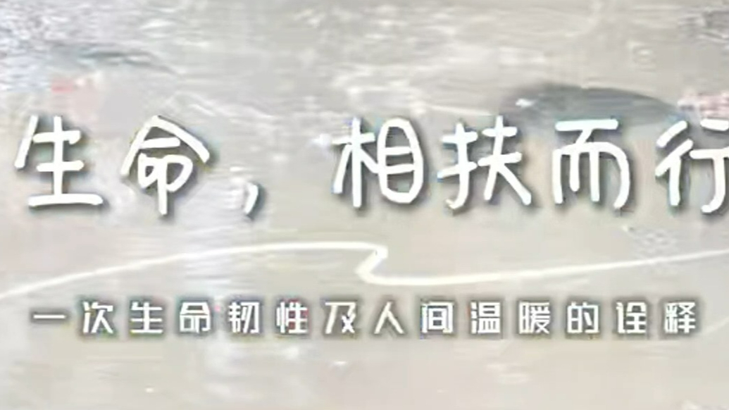 果然视频|生命有奇迹！血液病家庭互助，照亮彼此生命渡口