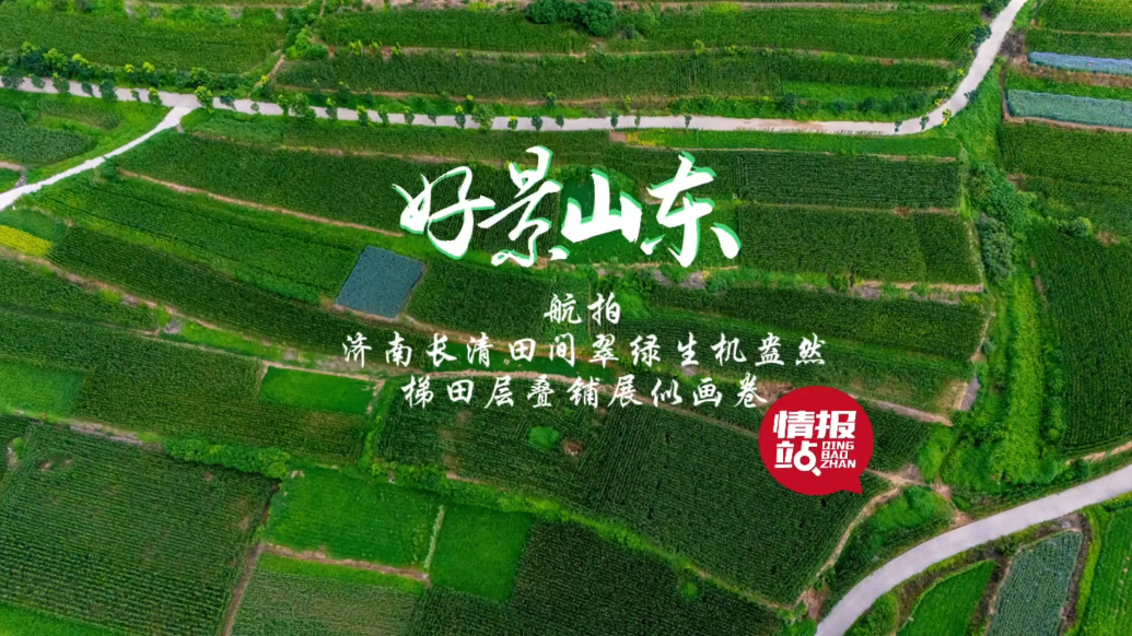 果然视频·好景山东|济南长清田间翠绿生机盎然，梯田层叠似画卷