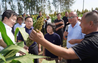 山东省酿造高粱产业研讨暨现场观摩会在古贝春集团隆重举行