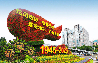 习近平总书记重要讲话，金句来了！
