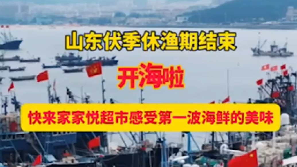 果然视频｜满载而归！快来家家悦感受第一波海鲜的美味