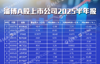 海岱财经｜2025淄股半年报：总营收724亿元，利润34亿元