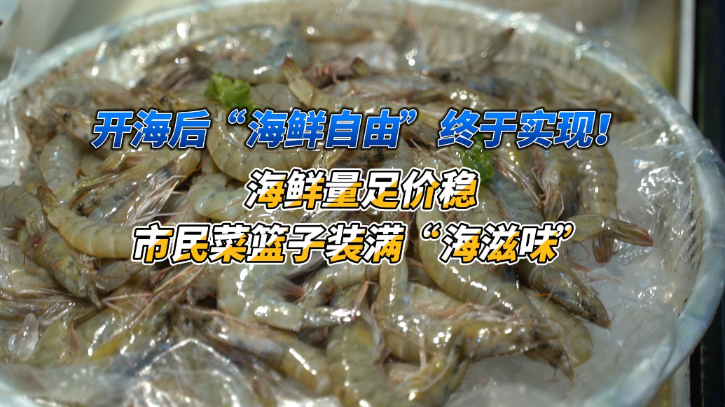 果然视频|威海开海海鲜价格“大跳水”，市民实现“爬虾自由”