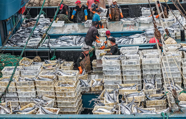 Fishing vessels return with season's first post-moratorium catch