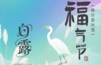 山东福彩“福气节”主题营销活动