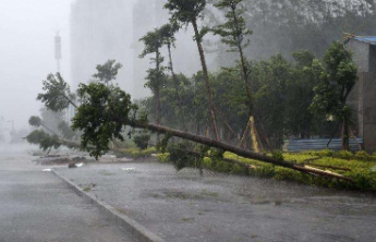 双预警齐发！台风或在广东沿海登陆，多地有大到暴雨