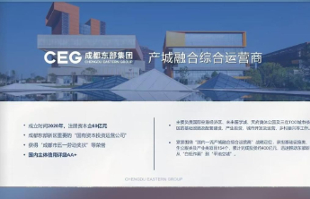 成都东部集团有限公司被行政处罚