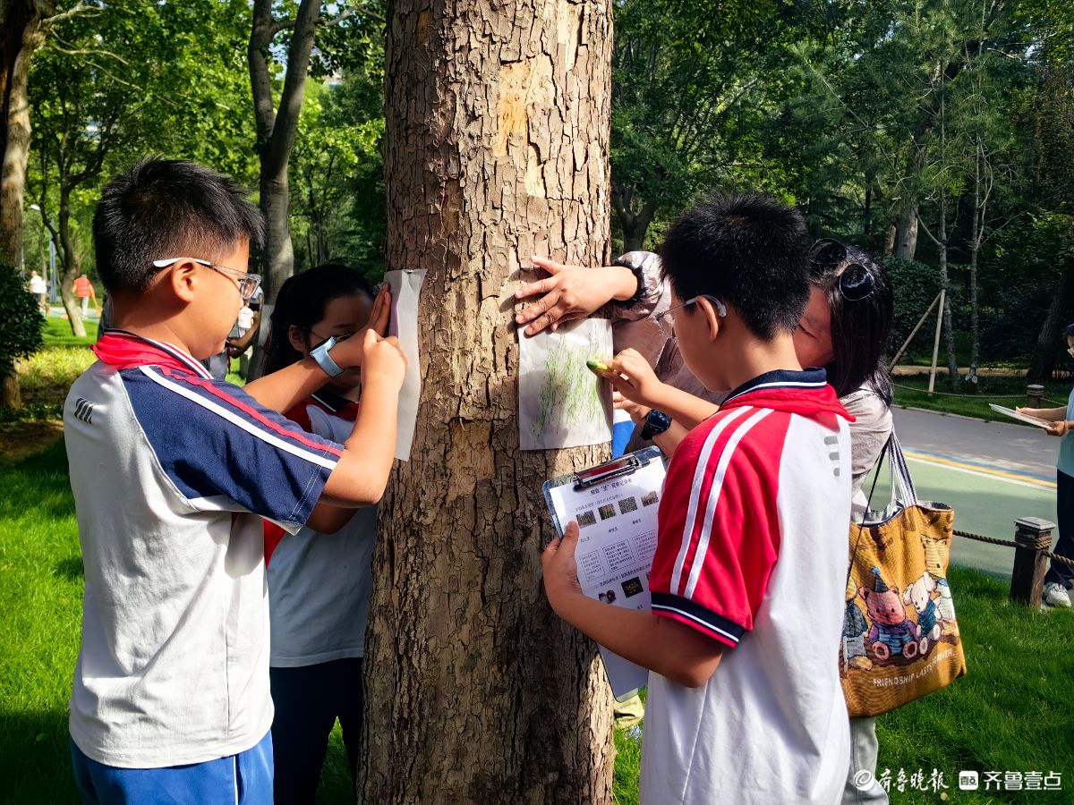 济南森林公园“植物有‘茎’喜”  ，小学生来探秘