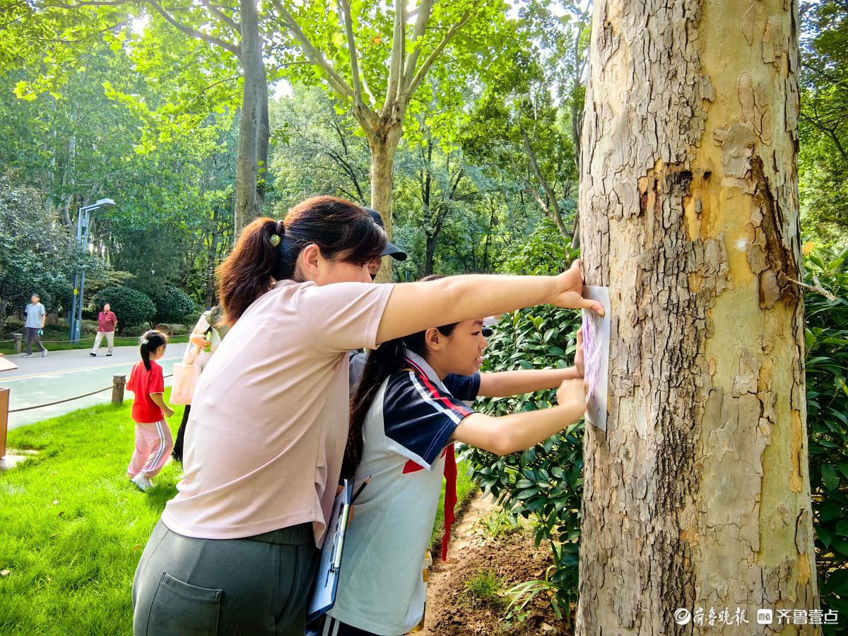 济南森林公园“植物有‘茎’喜”  ，小学生来探秘