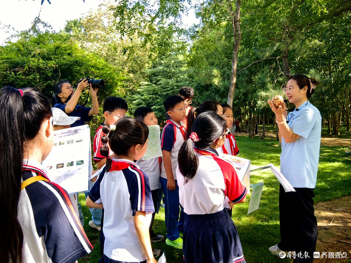 济南森林公园“植物有‘茎’喜”  ，小学生来探秘