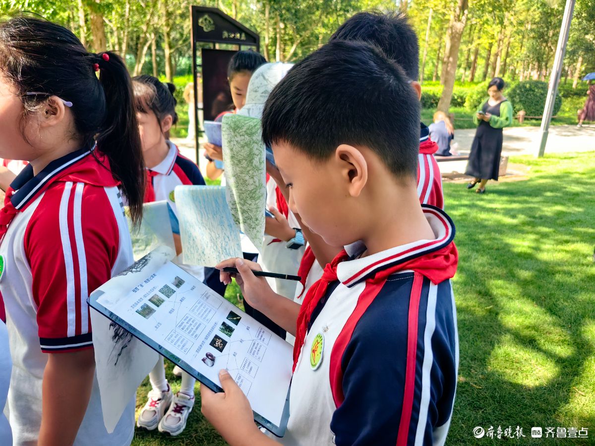 济南森林公园“植物有‘茎’喜”  ，小学生来探秘