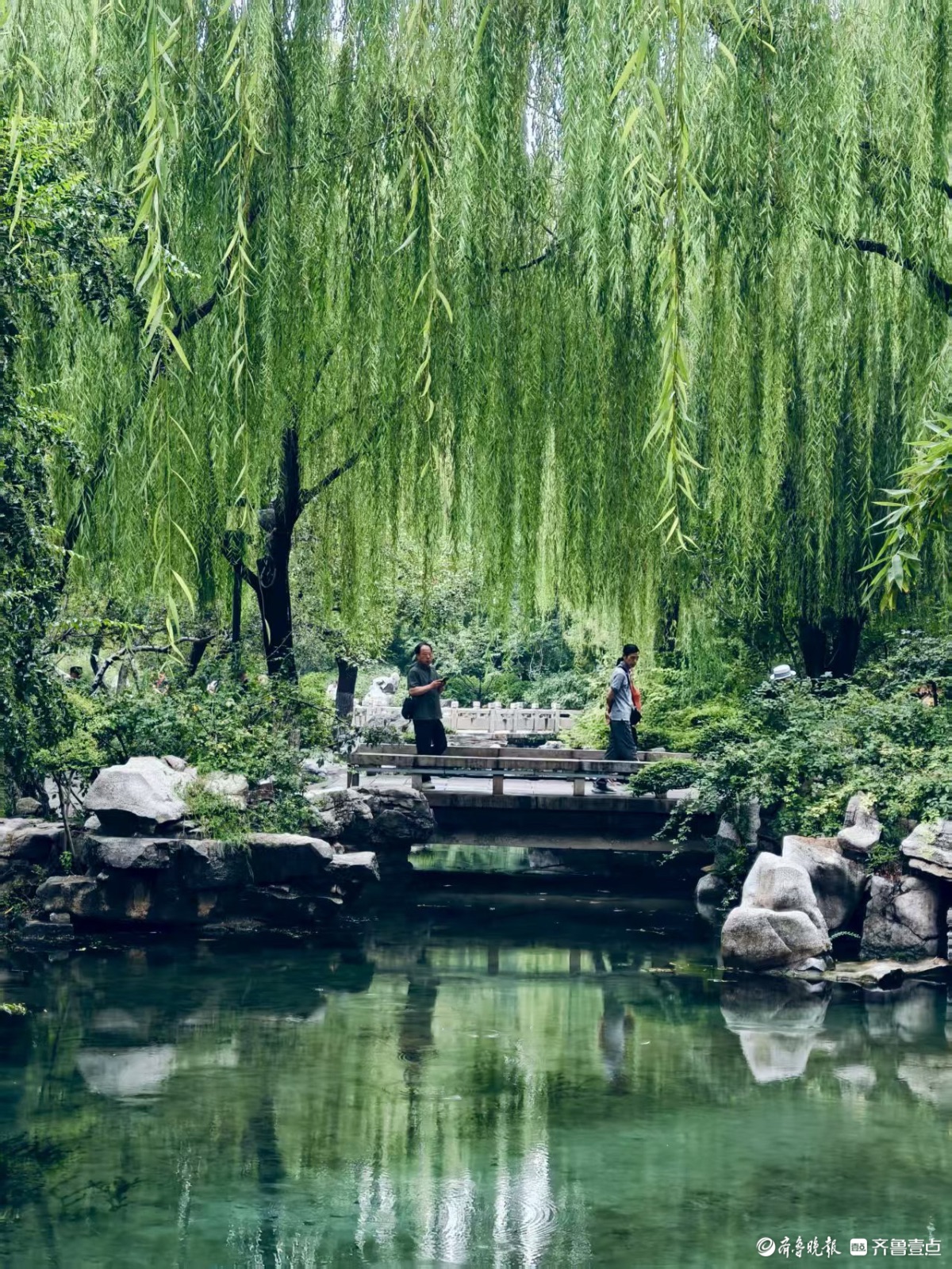 济南五龙潭，初秋好风光