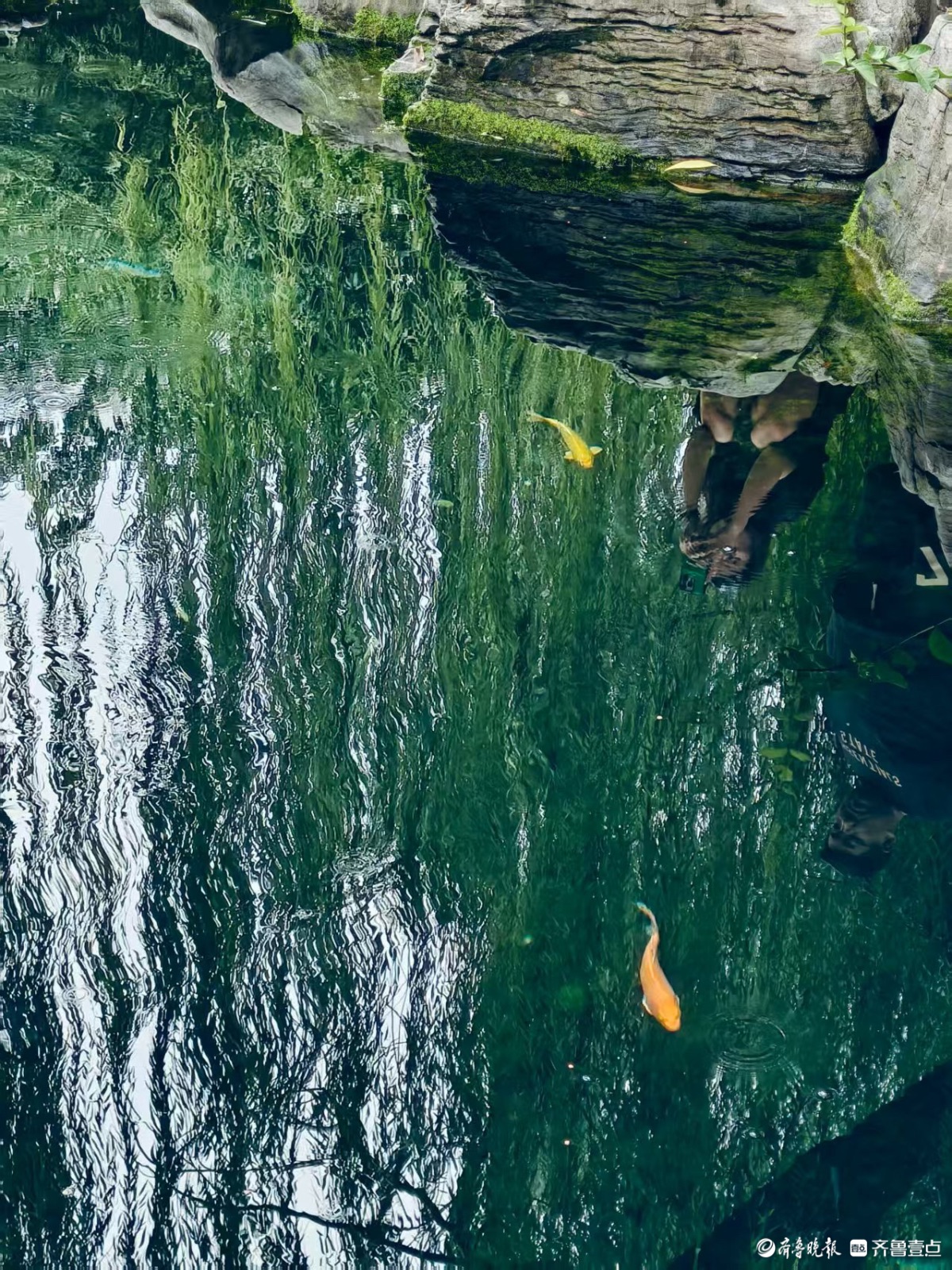 济南五龙潭，初秋好风光