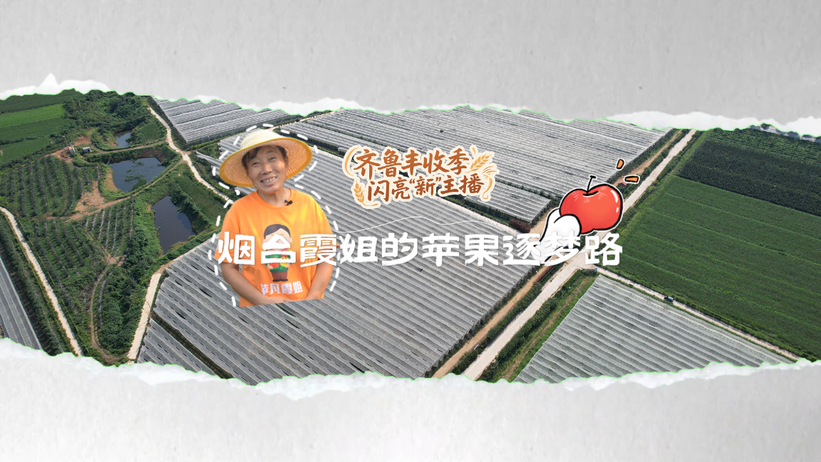 齐鲁丰收季 闪亮“新”主播| 烟台霞姐的苹果“逐梦路”