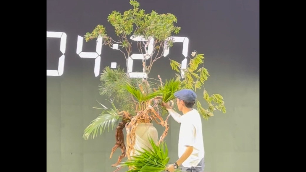 果然视频｜“泰山花战”中韩友谊赛，6名中韩两国顶尖花艺师同台竞技