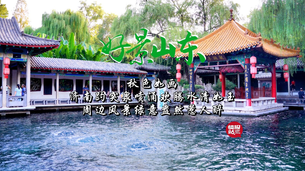 果然视频·好景山东|济南趵突泉喷涌欢腾，风景绿意盎然惹人醉