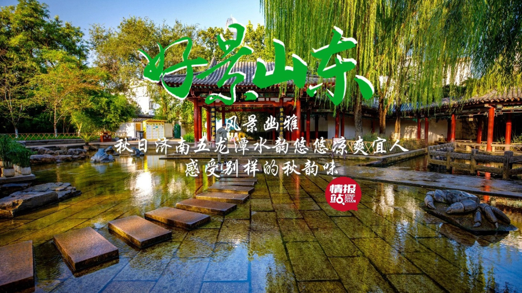 果然视频·好景山东|秋日济南五龙潭水韵悠悠，凉爽宜人别样美