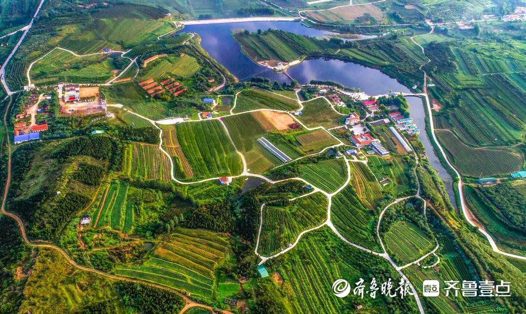 中国农民丰收节，为什么是招远？