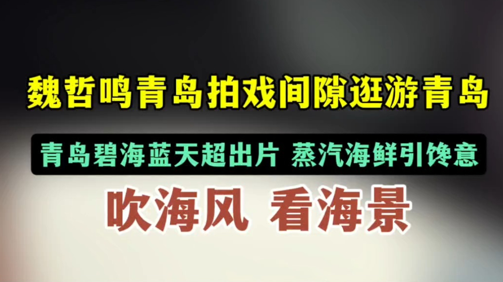 果然视频丨魏哲鸣青岛拍戏间隙逛游青岛