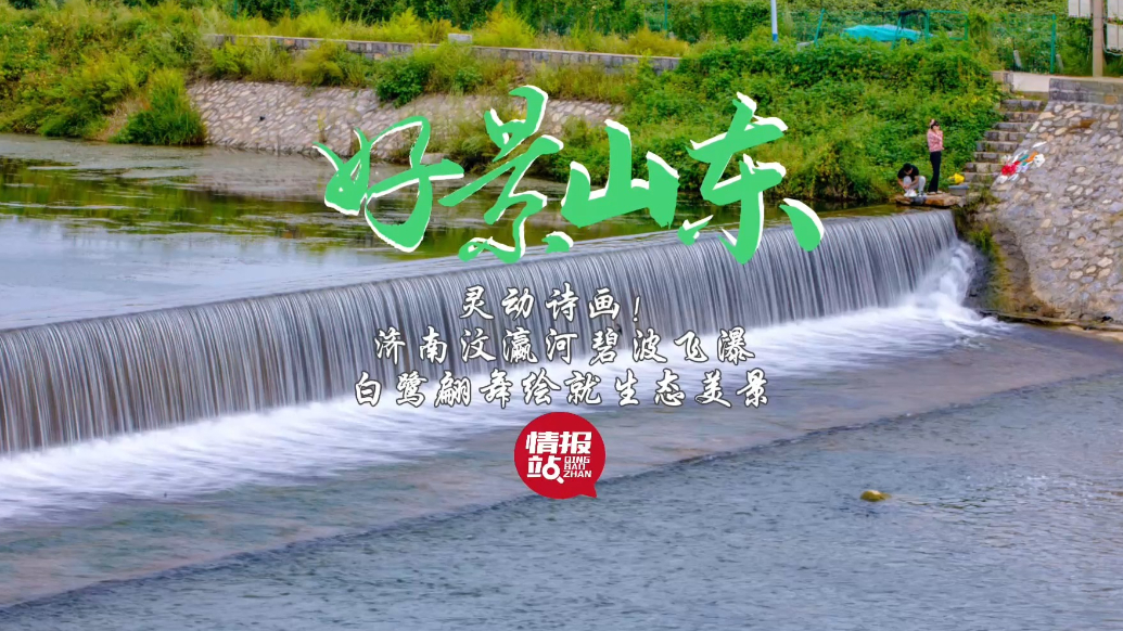 果然视频·好景山东|济南汶瀛河碧波飞瀑，白鹭翩舞绘就生态美景
