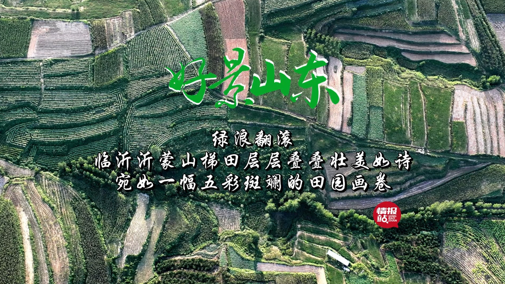 果然视频·好景山东|临沂沂蒙山梯田层层叠叠，宛若一幅田园画卷