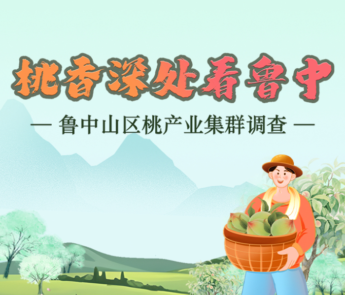 鲁中山峦，灼灼桃色。2025年，“齐鲁农超”带您一同深入这片“甜蜜”腹地，看一颗传统鲜桃如何触发一场“甜蜜风暴”，如何从枝头“鲜”到舌尖，又如何成为富民增收的“黄金果”。我们将以桃为镜，映照出鲁中乡村振兴的澎湃脉搏。