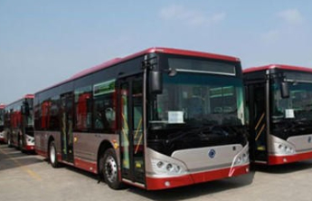 比赛期间，淄博这些公交线路可达“齐鲁超赛”现场