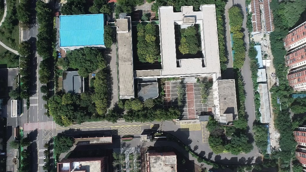 果然视频丨3所学校挤在一条路上，济南交警巧解三千学子“出行难”