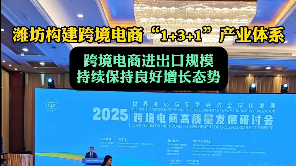 果然视频|中日韩产业合作发展论坛跨境电商高质量发展研讨会举行