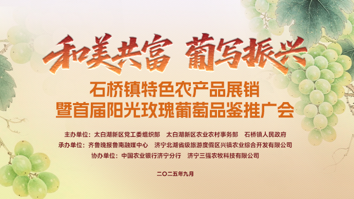 直播济宁丨石桥镇首届阳光玫瑰葡萄品鉴推广会