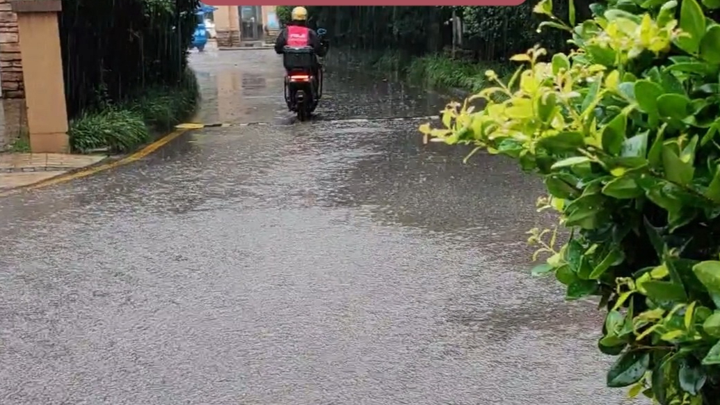 天气情报站|秋雨进行时！日照迎来强降雨天气，秋风乍起凉意尽显