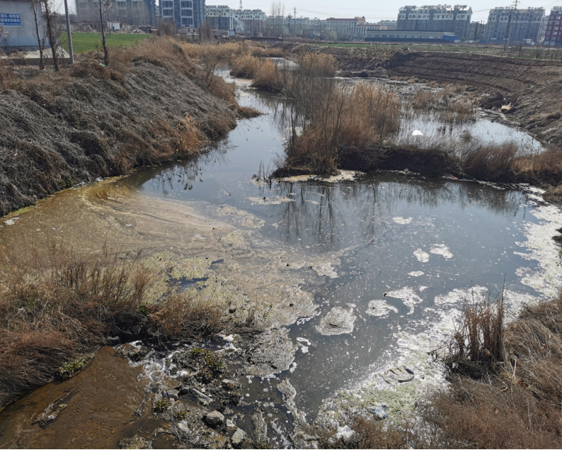 见证河湖蝶变·共建美丽山丨一泓清水润肥城：康汇河“重生”记