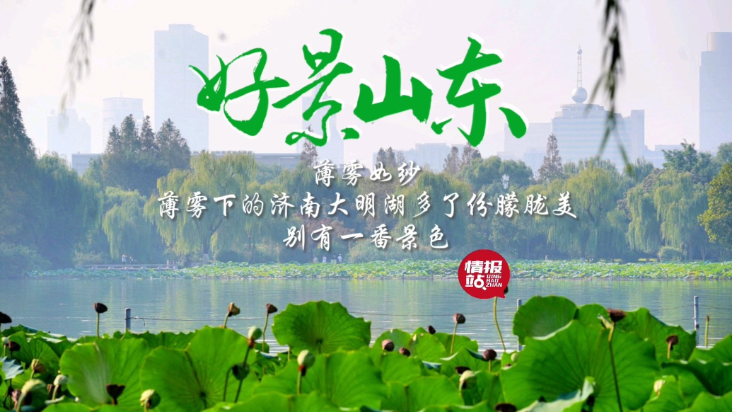 果然视频·好景山东|薄雾下的济南大明湖多了份朦胧美，别有一景