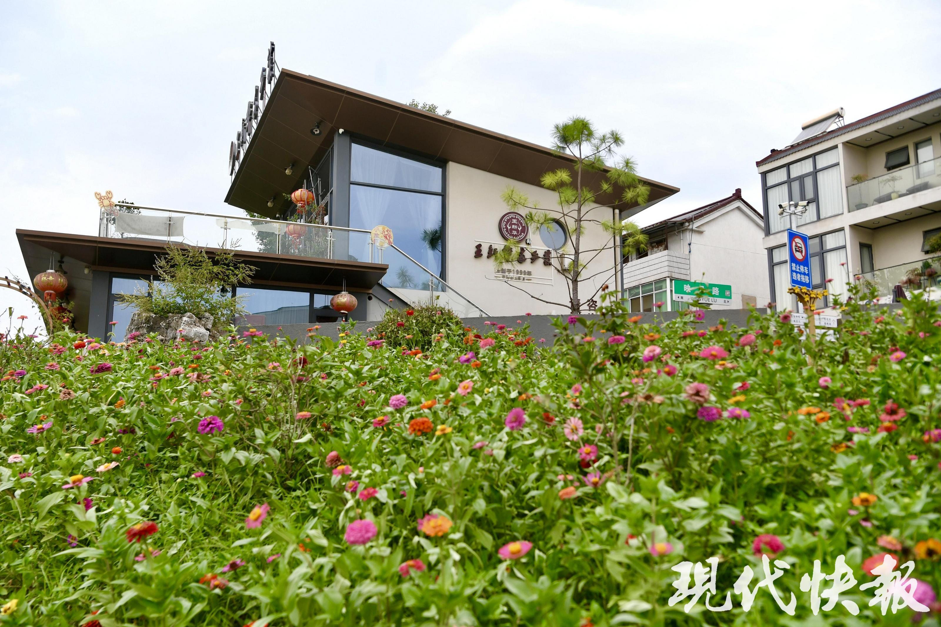 2025年全国主流媒体看常州｜不止茶香！从古村落到网红村，来看溧阳桂林村的“逆袭”