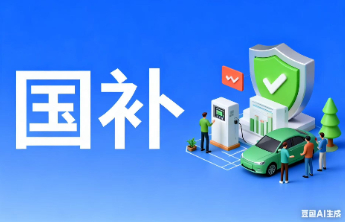 资金流失上亿！真金白银的“国补”都“补”哪去了？