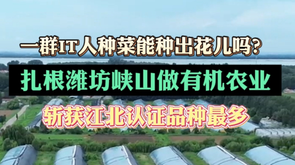 果然视频 | IT人种菜能种出花儿吗？在峡山做有机农业收获多