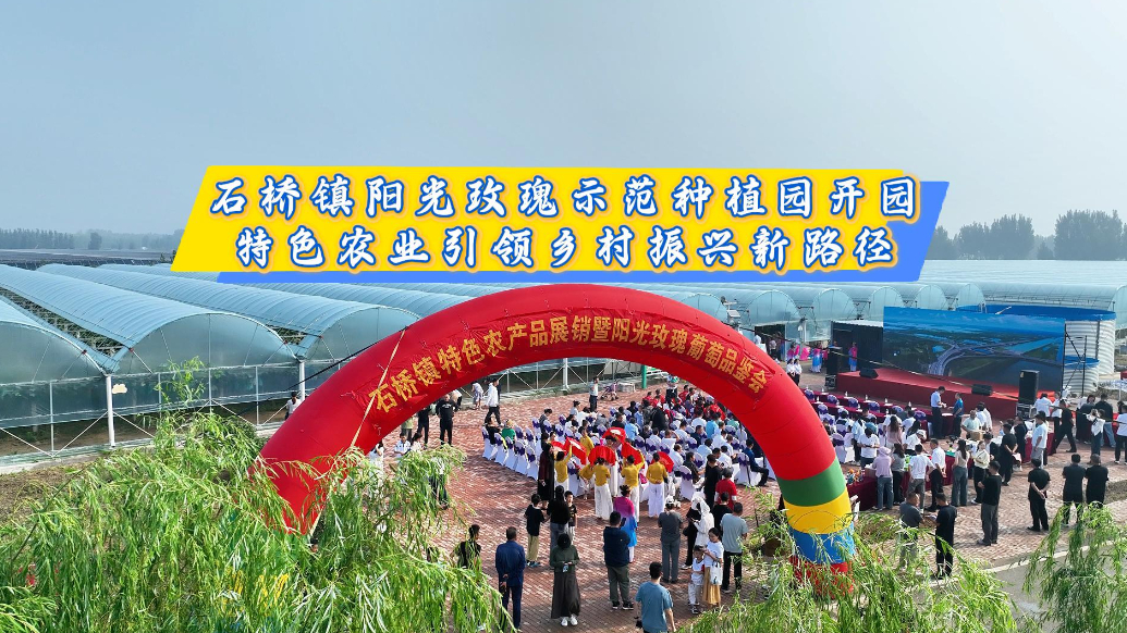 果然视频|石桥镇阳光玫瑰示范种植园开园