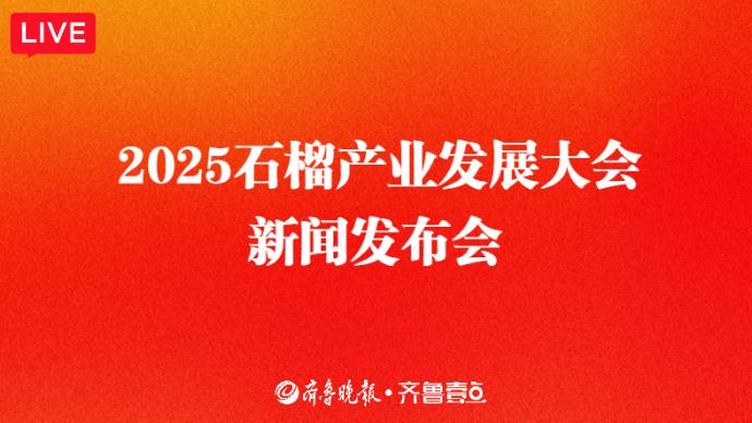 壹直播丨2025石榴产业发展大会新闻发布会