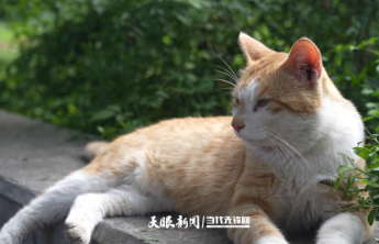 给生成式内容装上“刹车”，刹住AI谣言歪风