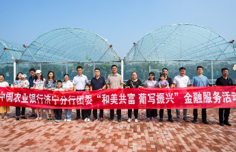 喜迎葡萄丰收，济宁农行“葡”写振兴绘“丰”景