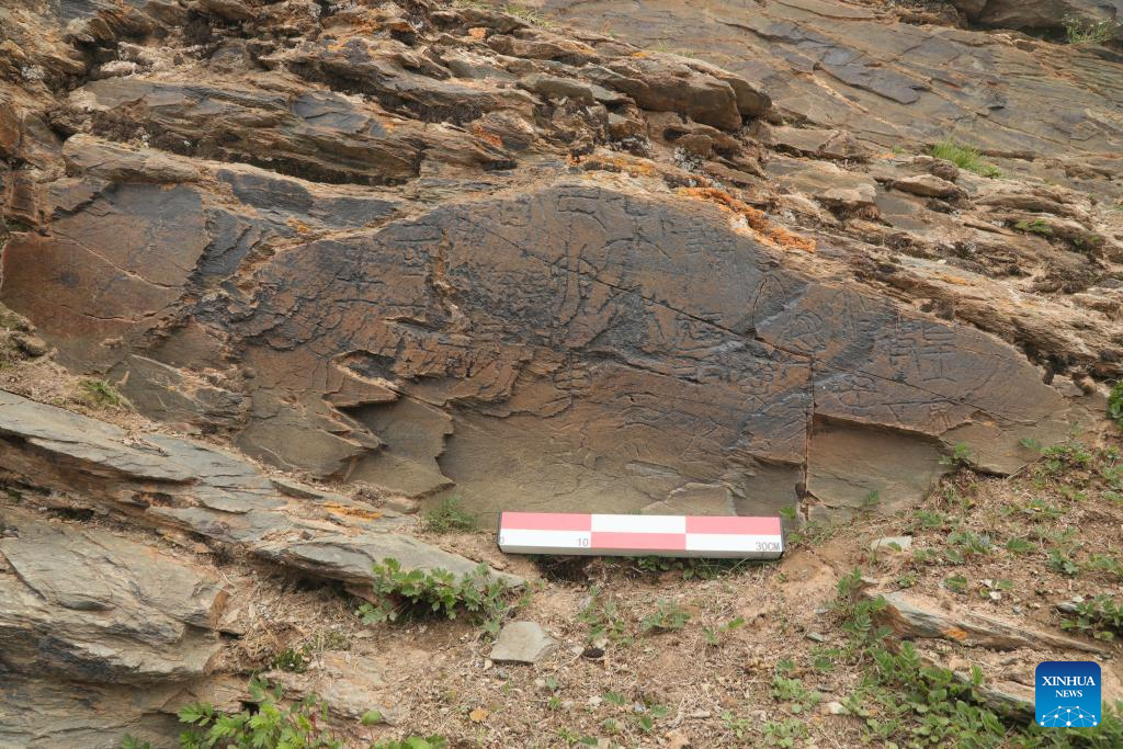 China discovers highest-altitude Qin Dynasty engraved stone on Qinghai-Tibet Plateau