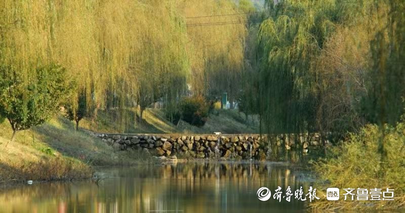 从“臭水沟”到“效益河”，看烟台朱柳河的“幸福变形计”