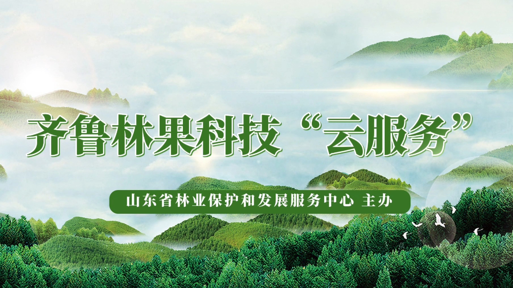 齐鲁林果科技“云服务”|核桃园秋冬季管理技术