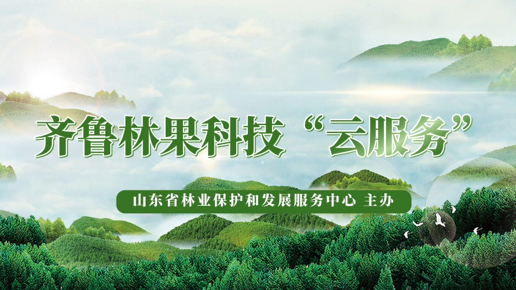 齐鲁林果科技“云服务”|花椒秋季管理与栽培