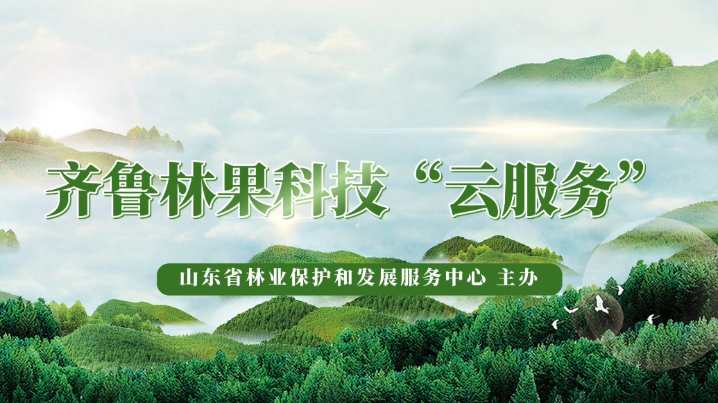 齐鲁林果科技“云服务”|板栗优质丰产轻简栽培技术